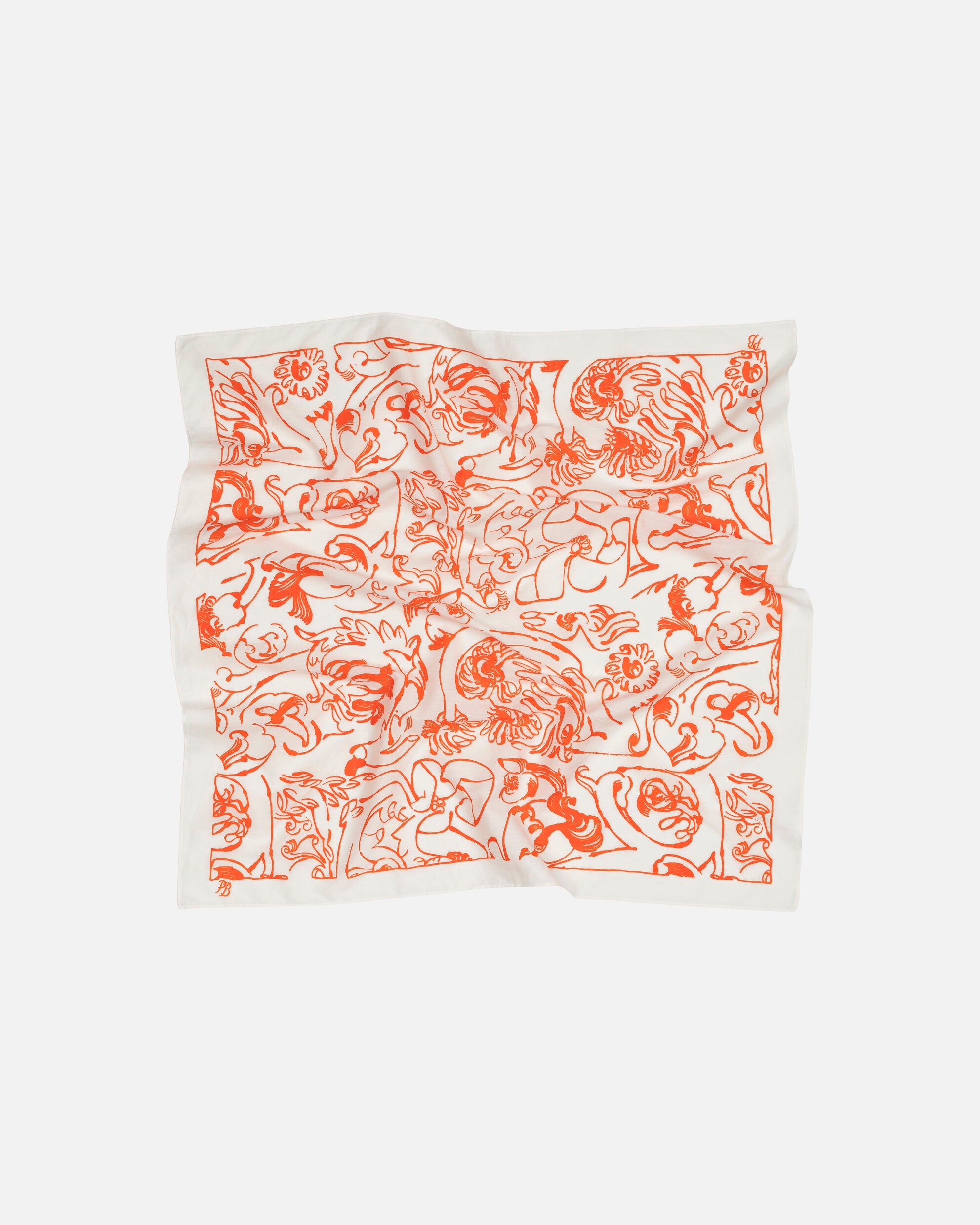 Lieriö Cactis scarf