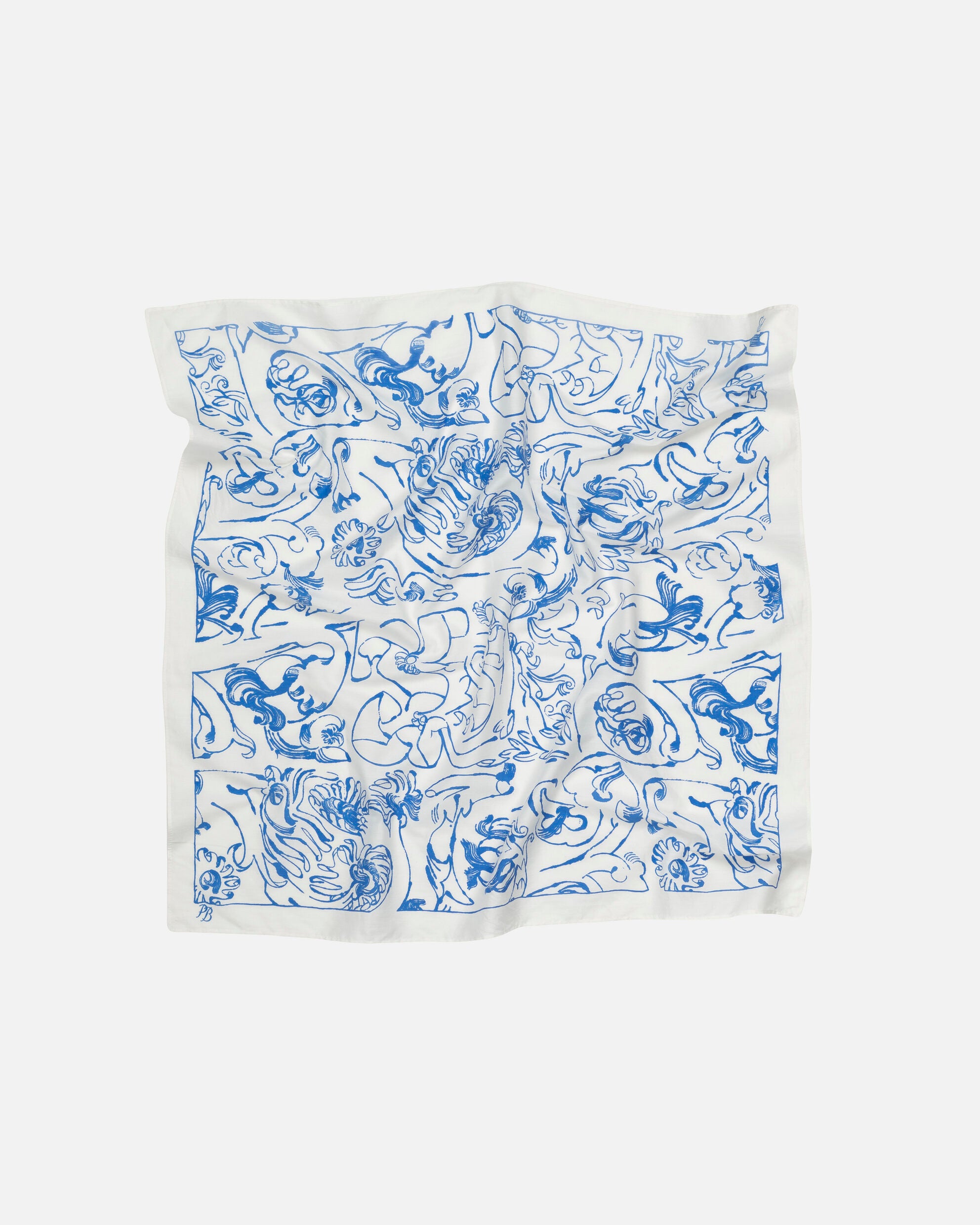 Lieriö Cactis scarf