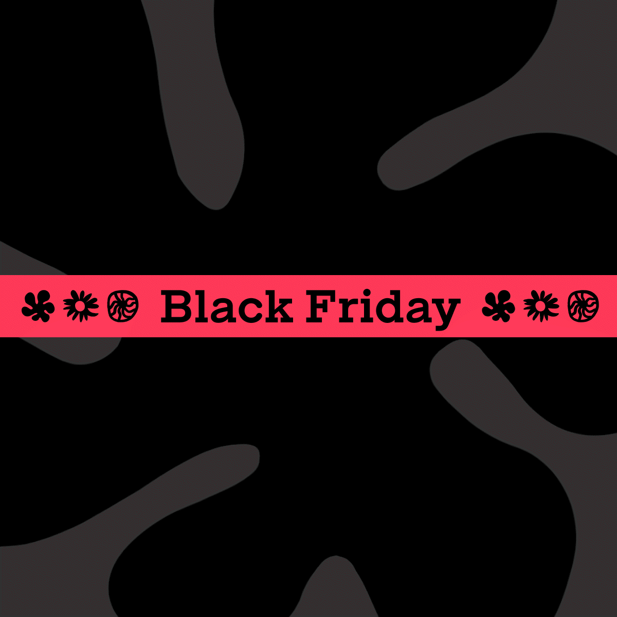 BLACK FRIDAY ALL 2025